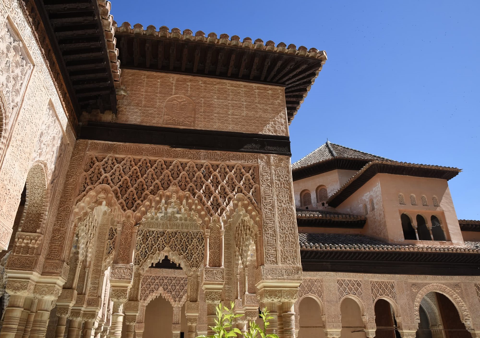 tour privado con guía explorando la Alhambra